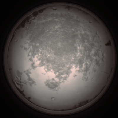capture_202112101135_3861.Png