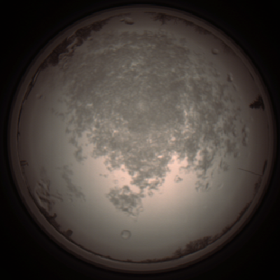 capture_202112101326_3972.Png