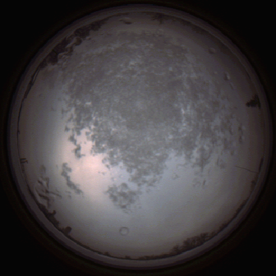 capture_202112101504_4070.Png