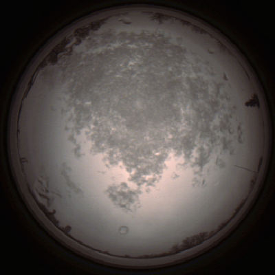 capture_202112101431_4037.Png