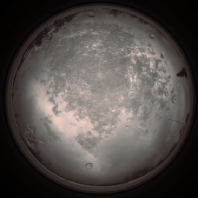 capture_202112101244_3930.Png
