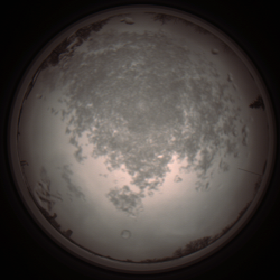 capture_202112101342_3988.Png