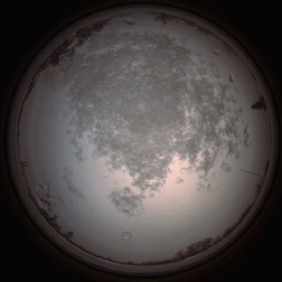 capture_202112101451_4057.Png