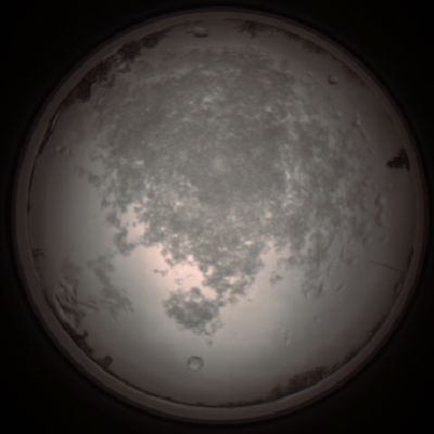 capture_202112101131_3857.Png