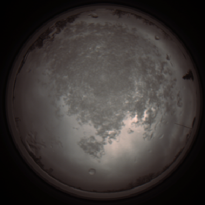capture_202112101248_3934.Png