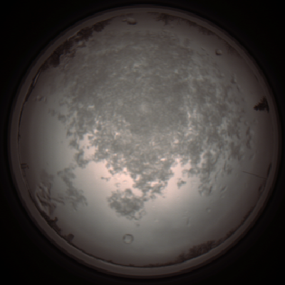 capture_202112101129_3855.Png