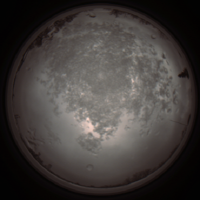 capture_202112101253_3939.Png