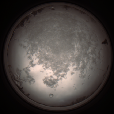 capture_202112101038_3804.Png