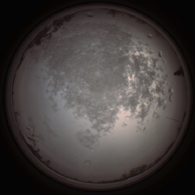 capture_202112101436_4042.Png