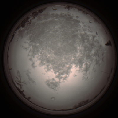 capture_202112101307_3953.Png