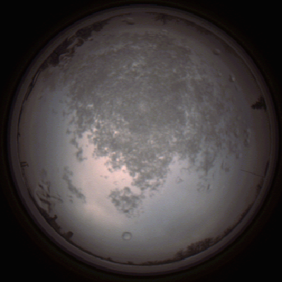 capture_202112101503_4069.Png