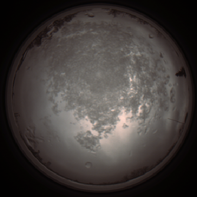 capture_202112101250_3936.Png