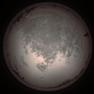 capture_202112101349_3995.Png