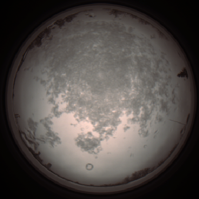capture_202112101052_3818.Png