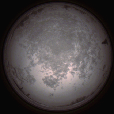 capture_202112100801_3647.Png