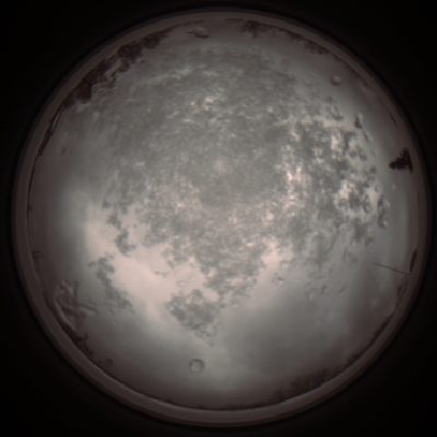 capture_202112101243_3929.Png