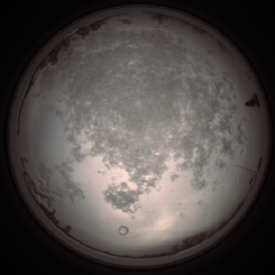 capture_202112101043_3809.Png