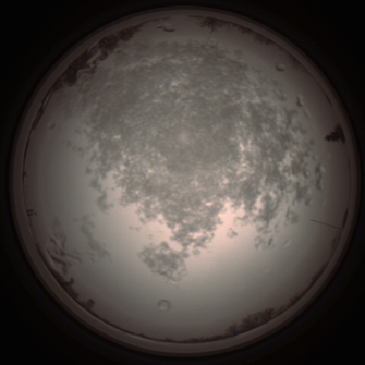 capture_202112101315_3961.Png