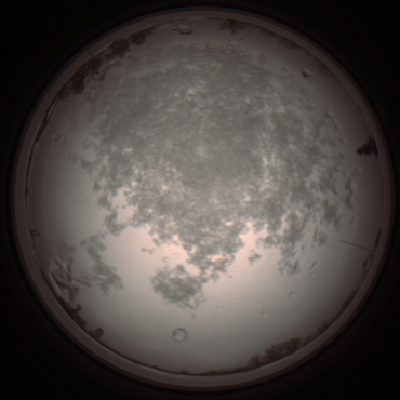 capture_202112101125_3851.Png