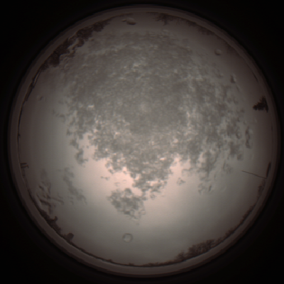 capture_202112101331_3977.Png