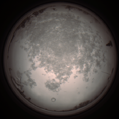 capture_202112101050_3816.Png