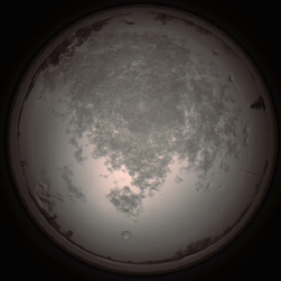 capture_202112101317_3963.Png