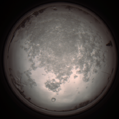 capture_202112101041_3807.Png