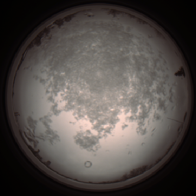 capture_202112101054_3820.Png