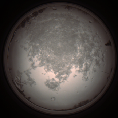 capture_202112101126_3852.Png
