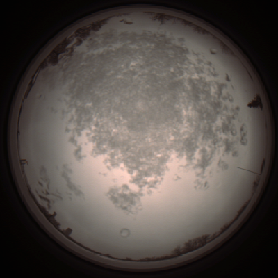 capture_202112101356_4002.Png