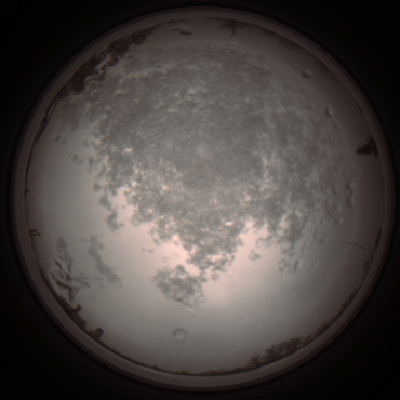 capture_202112101338_3984.Png