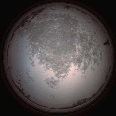 capture_202112101450_4056.Png