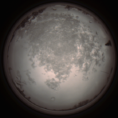 capture_202112101304_3950.Png