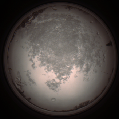 capture_202112101340_3986.Png