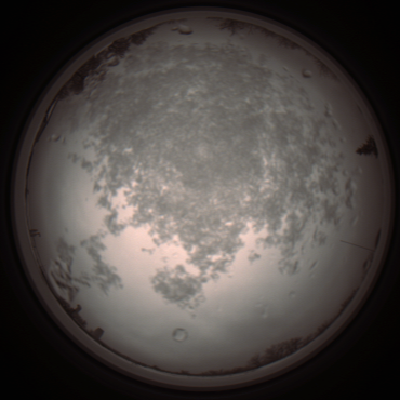capture_202112101137_3863.Png