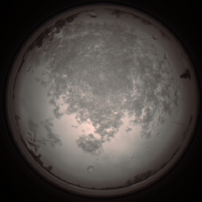 capture_202112101147_3873.Png