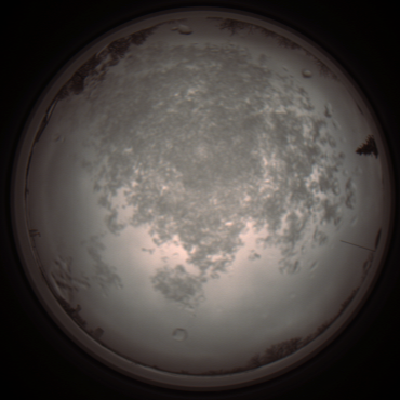 capture_202112101210_3896.Png