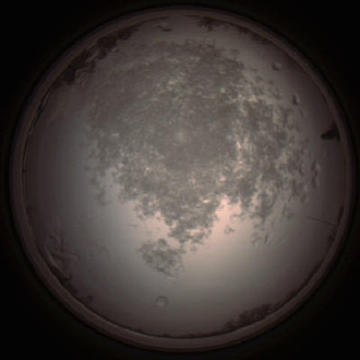 capture_202112101443_4049.Png