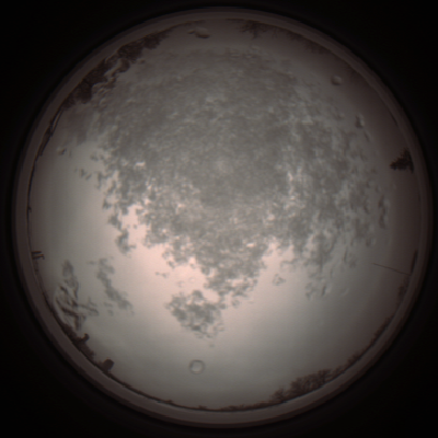 capture_202112101337_3983.Png