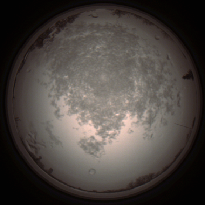 capture_202112101314_3960.Png
