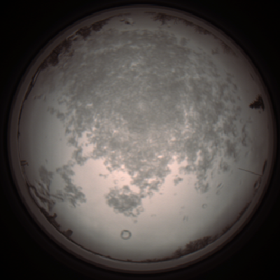 capture_202112101051_3817.Png