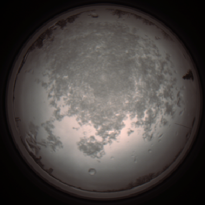 capture_202112101104_3830.Png