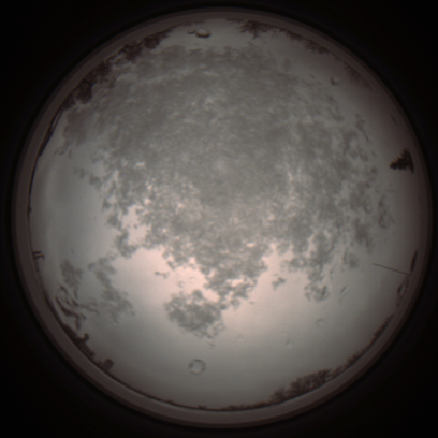capture_202112101117_3843.Png