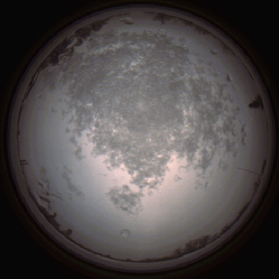 capture_202112101449_4055.Png