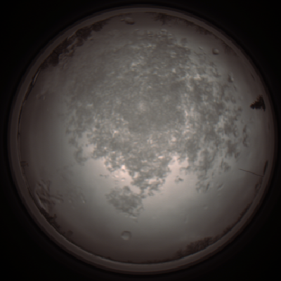 capture_202112101214_3900.Png