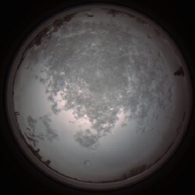 capture_202112101156_3882.Png