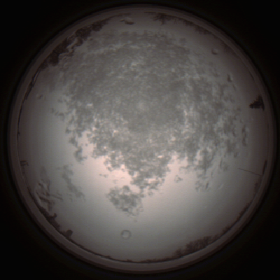 capture_202112101319_3965.Png