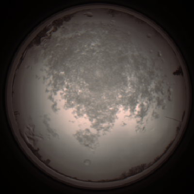 capture_202112101350_3996.Png