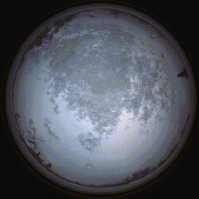 capture_202112101509_4075.Png