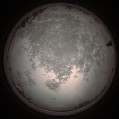 capture_202112101200_3886.Png